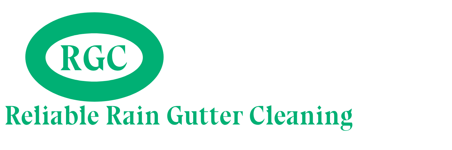 Gutter Cleaning